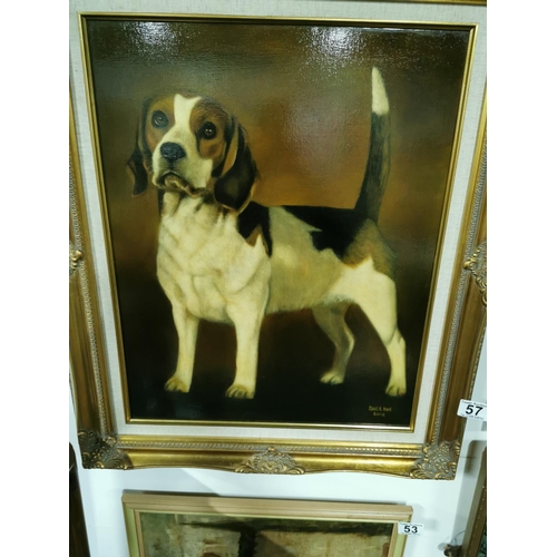 57 - Signed oil painting of a Beagle dog in a gilt frame, Well executed, showing superb detail & colours ... 