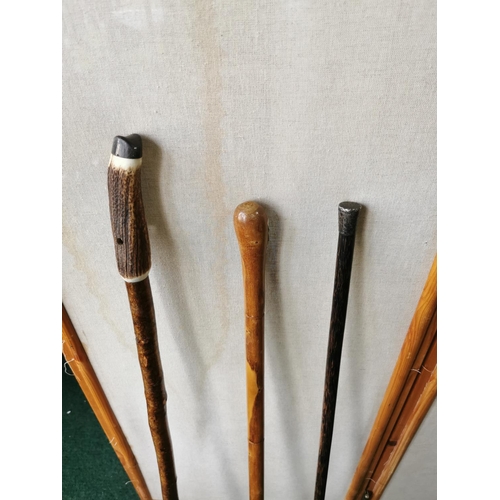 417 - Quantity of 3 walking sticks, one with a horn handle and thumb groove in the form of a sheep's foot,... 