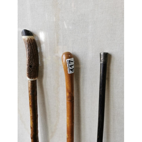 417 - Quantity of 3 walking sticks, one with a horn handle and thumb groove in the form of a sheep's foot,... 