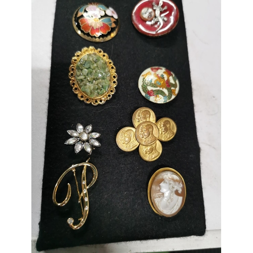 142 - Suite of various costume brooches - enamelled, Camio, gemstones inc 5 brooches relating to locomotiv... 