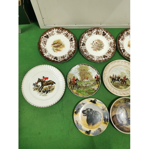 3 - Quantity of 13 vintage collectable plates all realting to hunting and game birds inc two plates afte... 