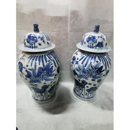 81 - 2 x impressive very large antique reproduction chinese blue and white Foo dog lidded temple jars bot... 