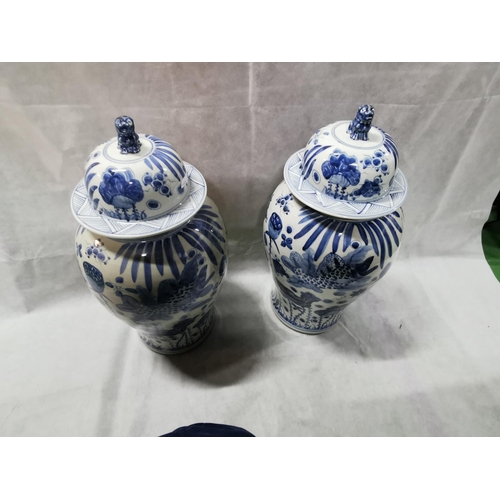 81 - 2 x impressive very large antique reproduction chinese blue and white Foo dog lidded temple jars bot... 