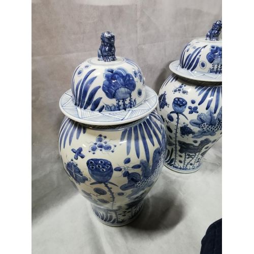 81 - 2 x impressive very large antique reproduction chinese blue and white Foo dog lidded temple jars bot... 