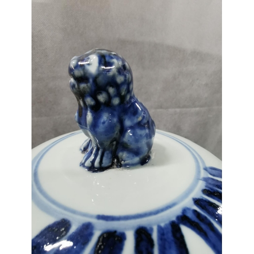 81 - 2 x impressive very large antique reproduction chinese blue and white Foo dog lidded temple jars bot... 