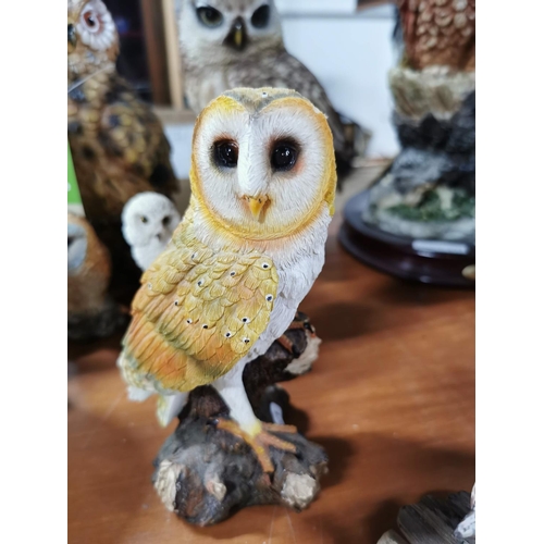 67 - 12 resin,wooden and ceramic owls Julianna, Regency Fine Arts, Leonardo along with two owl mugs