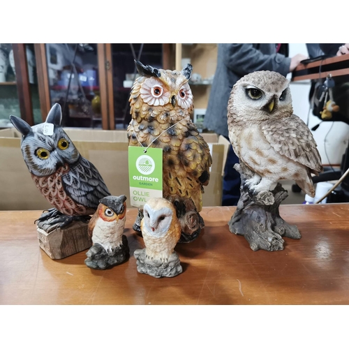 67 - 12 resin,wooden and ceramic owls Julianna, Regency Fine Arts, Leonardo along with two owl mugs