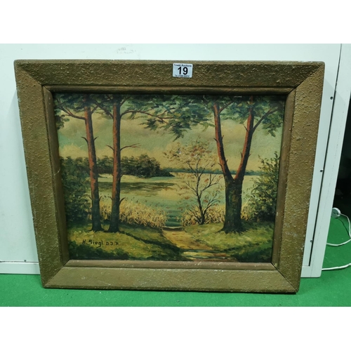 19 - Antique framed oil on canvas of a lake scene, bought in 2001 for $65.00 in Laurel MD USA signed H. S... 