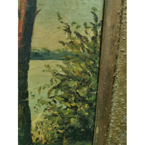 19 - Antique framed oil on canvas of a lake scene, bought in 2001 for $65.00 in Laurel MD USA signed H. S... 