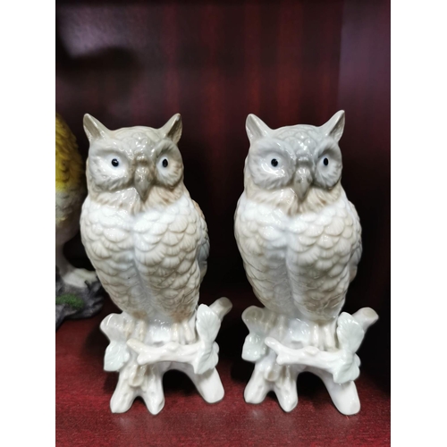 26 - 6 Owls,3 resin, 1 glass, 2 porcelain figures by John Buck all good inc Leonardo. Height of largest 3... 