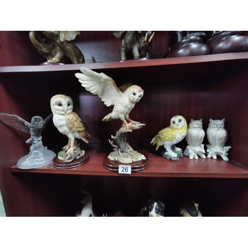 26 - 6 Owls,3 resin, 1 glass, 2 porcelain figures by John Buck all good inc Leonardo. Height of largest 3... 