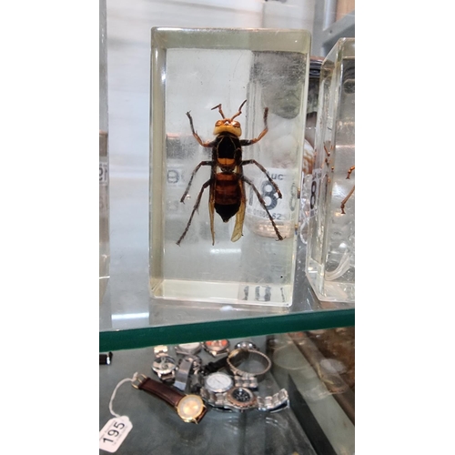 188 - Collection of 5 genuine vintage taxidermy insects set in resin, inc a large tic, a scorpion, a large... 