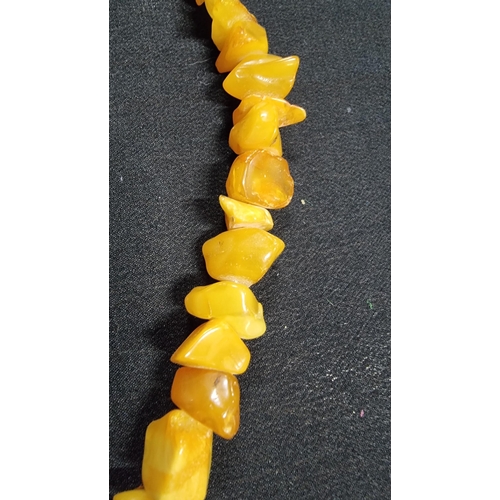 291 - Impressive large genuine butterscotch and egg yolk amber beaded necklace going from dark orange to w... 