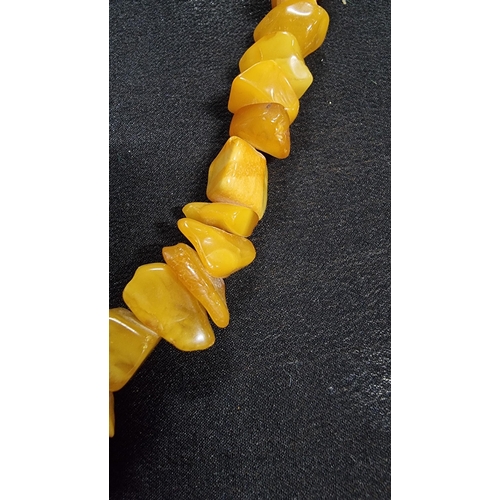 291 - Impressive large genuine butterscotch and egg yolk amber beaded necklace going from dark orange to w... 