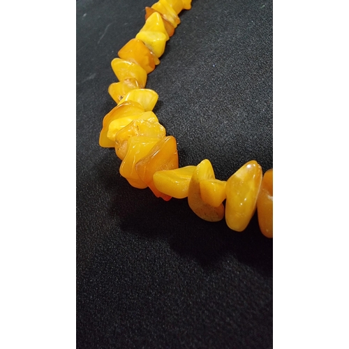 291 - Impressive large genuine butterscotch and egg yolk amber beaded necklace going from dark orange to w... 