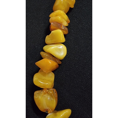 291 - Impressive large genuine butterscotch and egg yolk amber beaded necklace going from dark orange to w... 