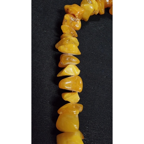 291 - Impressive large genuine butterscotch and egg yolk amber beaded necklace going from dark orange to w... 