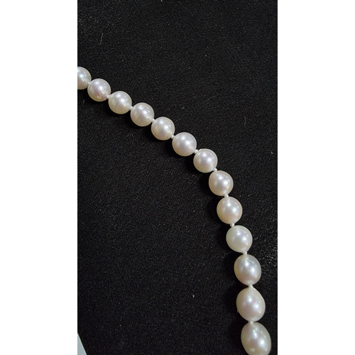 292 - Genuine fresh water pearl necklace with a 9ct gold clasp in excellent condition total length of 18in