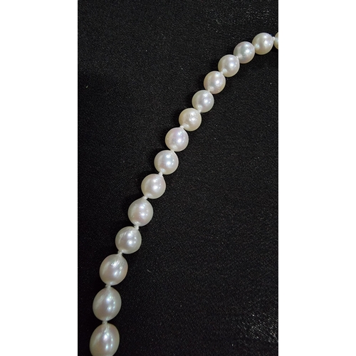 292 - Genuine fresh water pearl necklace with a 9ct gold clasp in excellent condition total length of 18in