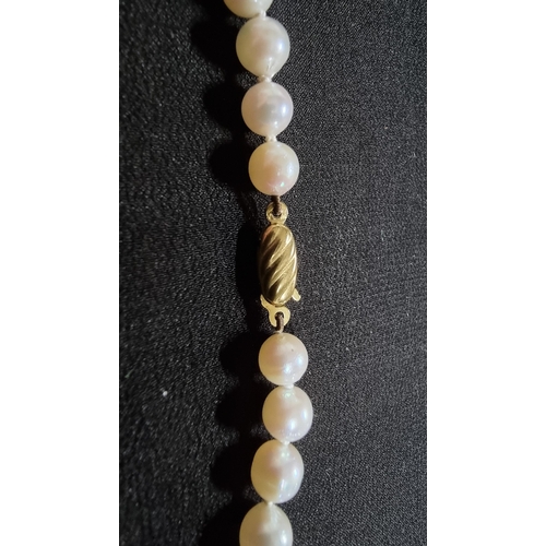 292 - Genuine fresh water pearl necklace with a 9ct gold clasp in excellent condition total length of 18in