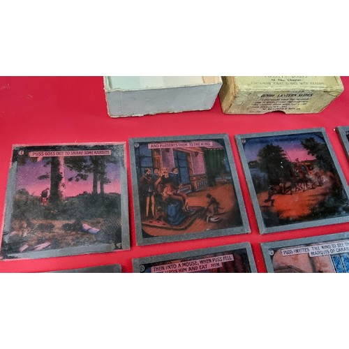 129 - Rare boxed set of Magic Lantern glass slides of Puss In Boots in one chapter, 1 slide is missing fro... 