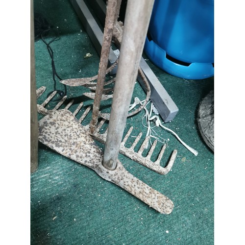 55 - Quantity of antique gardening tools inc a rake, adze mattock