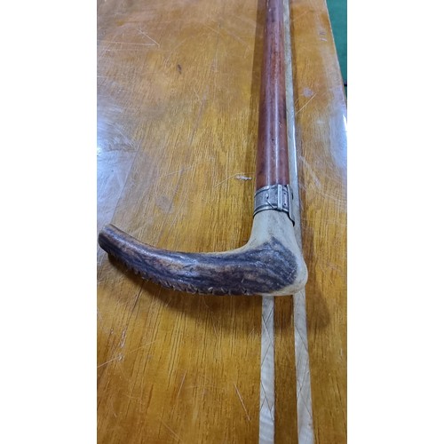 367 - Good antique Malacca riding crop by G & J Zair with antler handle and a buckle formed collar in exce... 