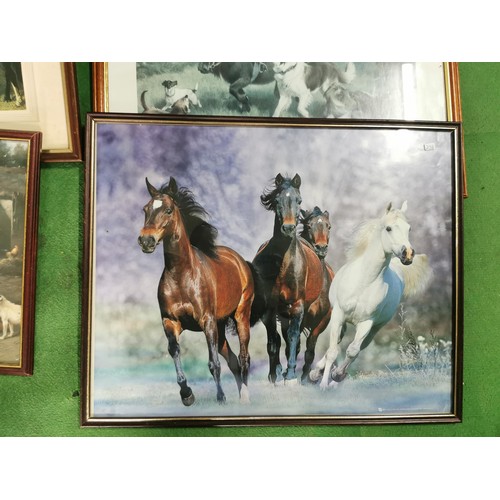 183 - Collection of 6x framed and glazed prints of horses inc a  Thelwell print etc. Thelwell print measur... 