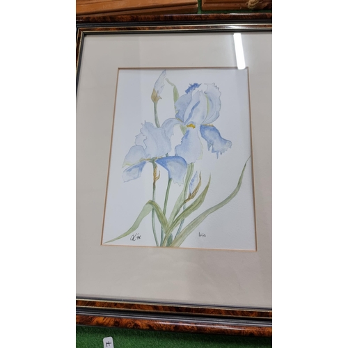 470 - Joblot of 5x boxes of various collectables & odds including an original watercolour of an Iris flowe... 