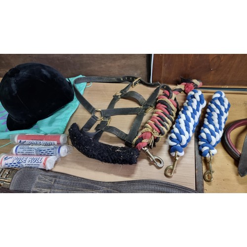 13 - Large job lot of equestrian equipment and accessories inc 6x girth belts some in excellent hardly us... 