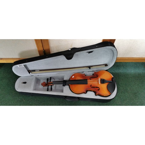 493 - Junior violin in excellent condition, appears to have no use in original case and comes along with b... 