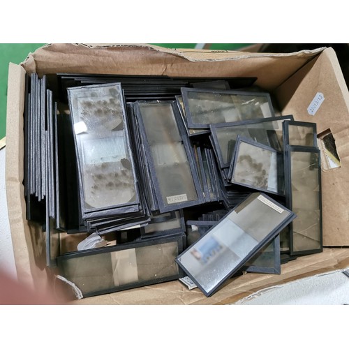 37 - Very large collection of Antique stereoscopic glass slides of microscopic life well over 100 slides