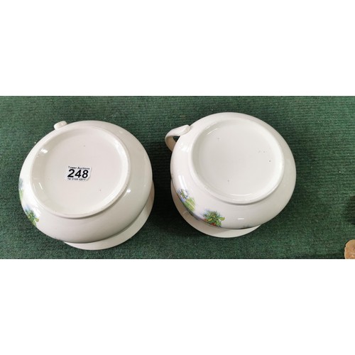 248 - Pair of matching vintage ceramic bed pan night pots with an attractive matching country scene. 13cm ... 