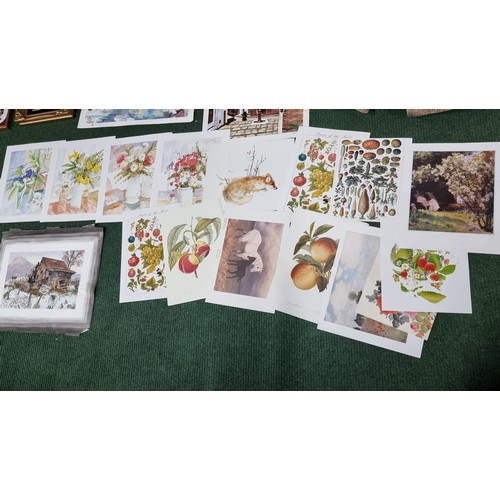 47 - Large quantity of various pictures and prints inc original watercolour of a comical scene welsh lamb... 