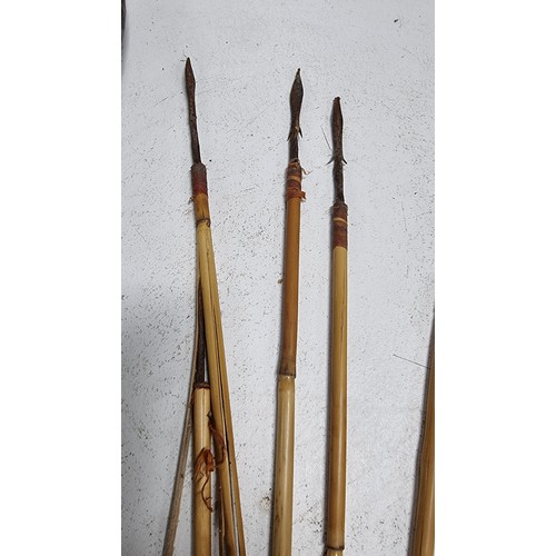 52 - Vintage tribal hunting arrows with bamboo shafts in its original pod holder, length of pod is 50cm l... 