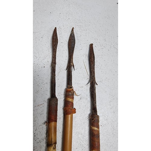 52 - Vintage tribal hunting arrows with bamboo shafts in its original pod holder, length of pod is 50cm l... 