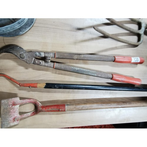 135 - Qty of various garden tools inc. hoe, garden fork, shovel etc. complete with a galvanised coal scutt... 