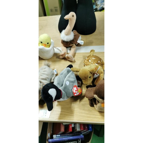 15 - 10x TY Beanie Baby collectable animal soft toys inc duck, parrot, Ostridge, turkey, owl etc.