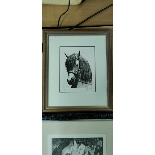 49 - 4x framed and glazed prints inc Haverford West Priory in Radnorshire, Portrait of a horse print - li... 