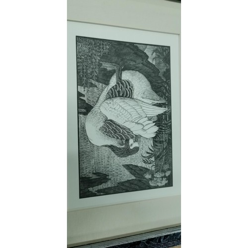 49 - 4x framed and glazed prints inc Haverford West Priory in Radnorshire, Portrait of a horse print - li... 