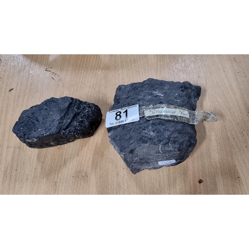 Lot 81        