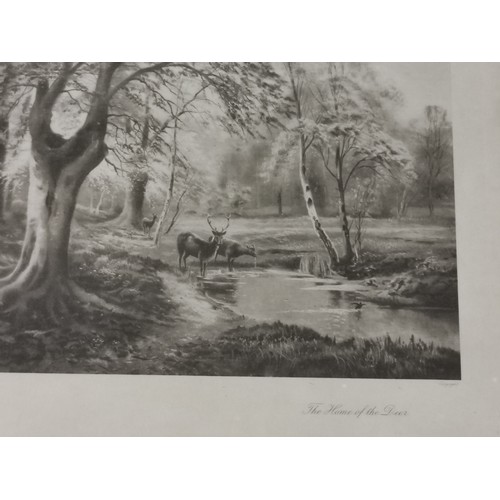 297 - Three framed and glazed black and white prints. Two with religious connotations depicting Ruth and N... 