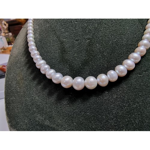 407 - A fine quality natural sea pearl (not cultured) beaded necklace with graduated beads featuring an im... 