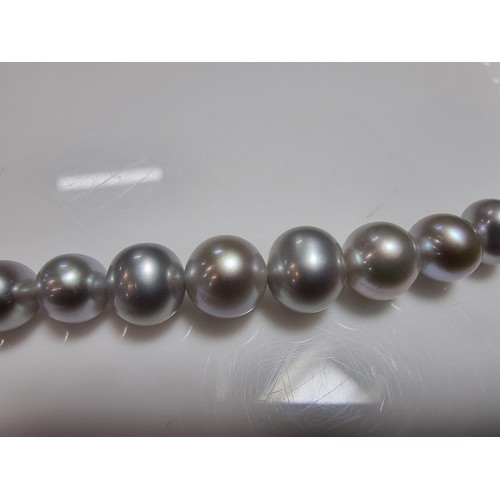 407 - A fine quality natural sea pearl (not cultured) beaded necklace with graduated beads featuring an im... 