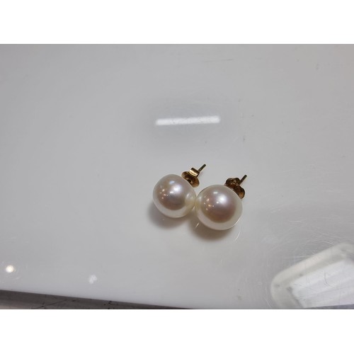 413 - A pair of 9ct yellow gold large genuine pearl stud earrings complete with butterfly backs in good co... 