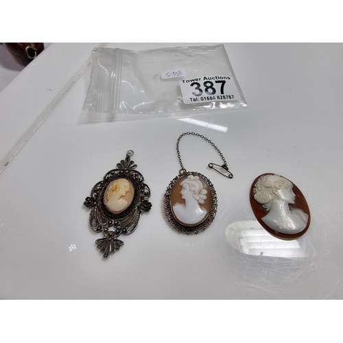 Lot 387       