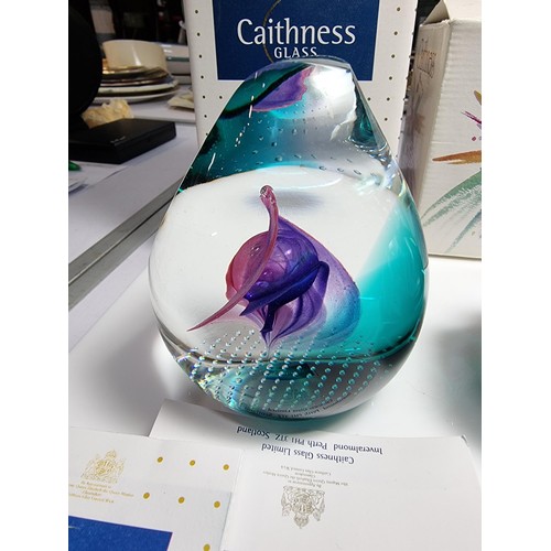 426 - 3 x boxed caithness limited edition paperweights with all paperwork including, saladin 1997, floral ... 