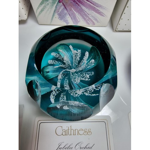 426 - 3 x boxed caithness limited edition paperweights with all paperwork including, saladin 1997, floral ... 