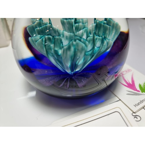 426 - 3 x boxed caithness limited edition paperweights with all paperwork including, saladin 1997, floral ... 