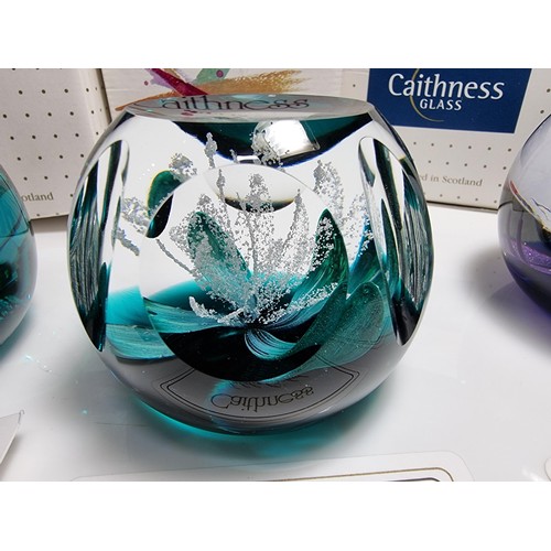 426 - 3 x boxed caithness limited edition paperweights with all paperwork including, saladin 1997, floral ... 